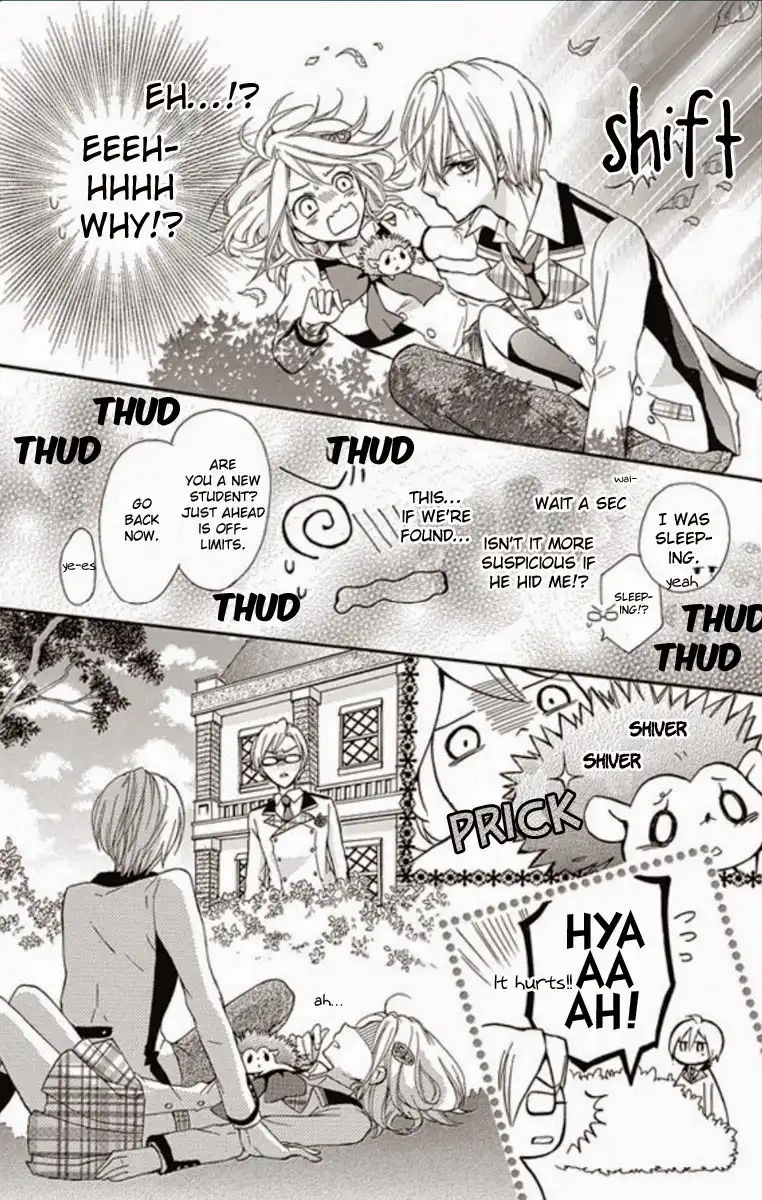 Primo Prima! Chapter 1 26